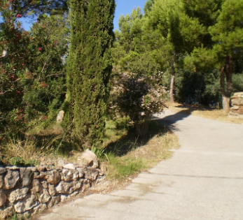 Excursion ruta