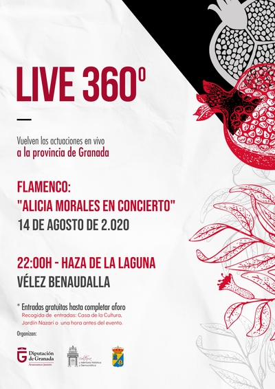 Flmenco. alicia morales