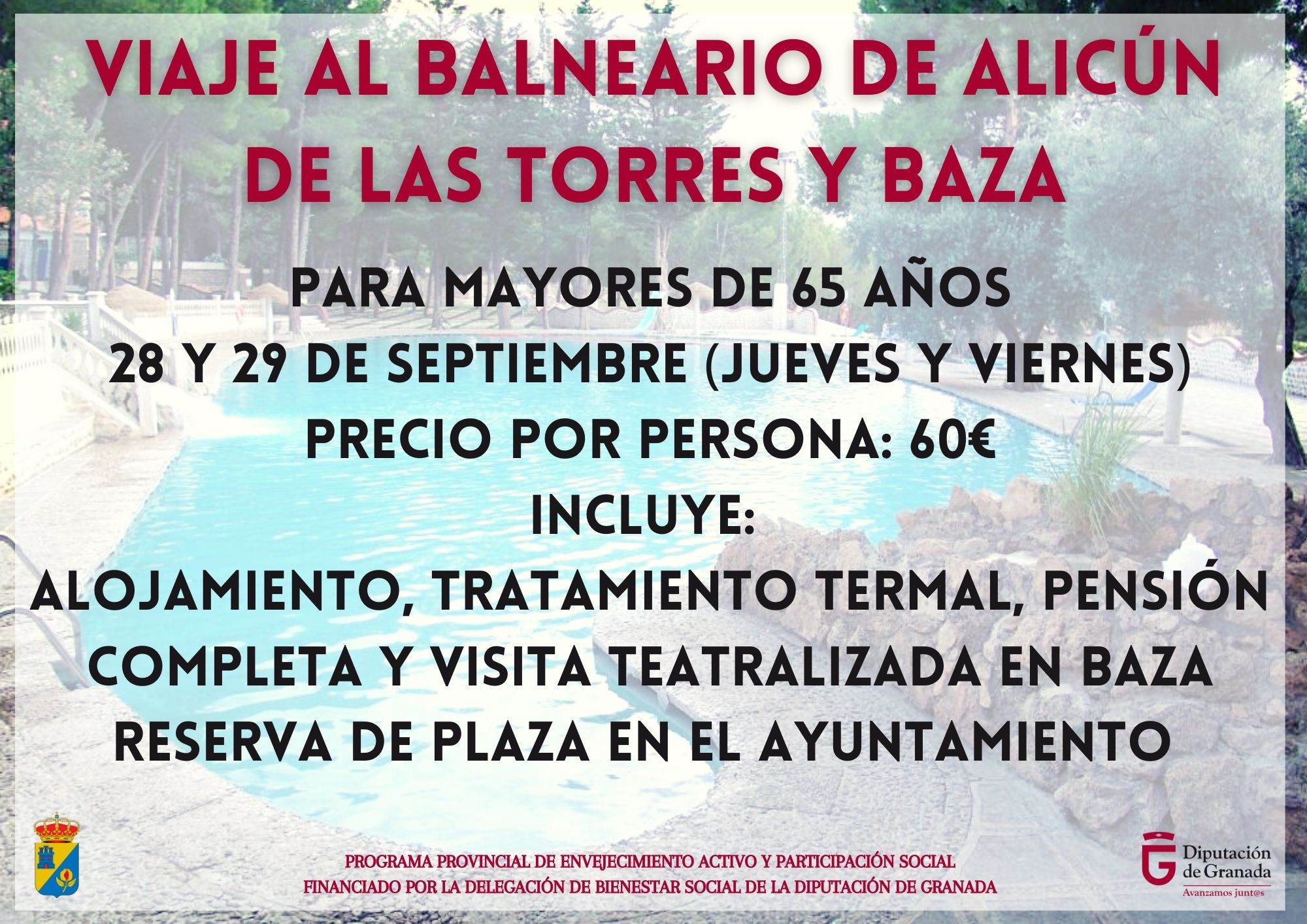 Copia de copia de gimnasia mayores
