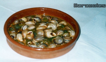 Gastro3
