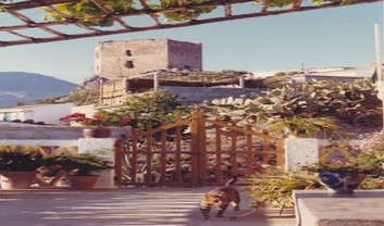 Castillo 5