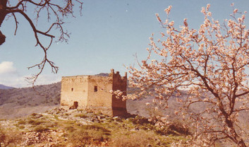 Castillo 6