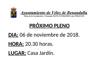 Cartel pleno noviembre