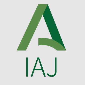 Iaj instituto andaluz juventud