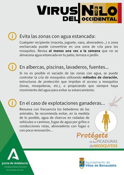 Dise%c3%b1o sin t%c3%adtulo (47)