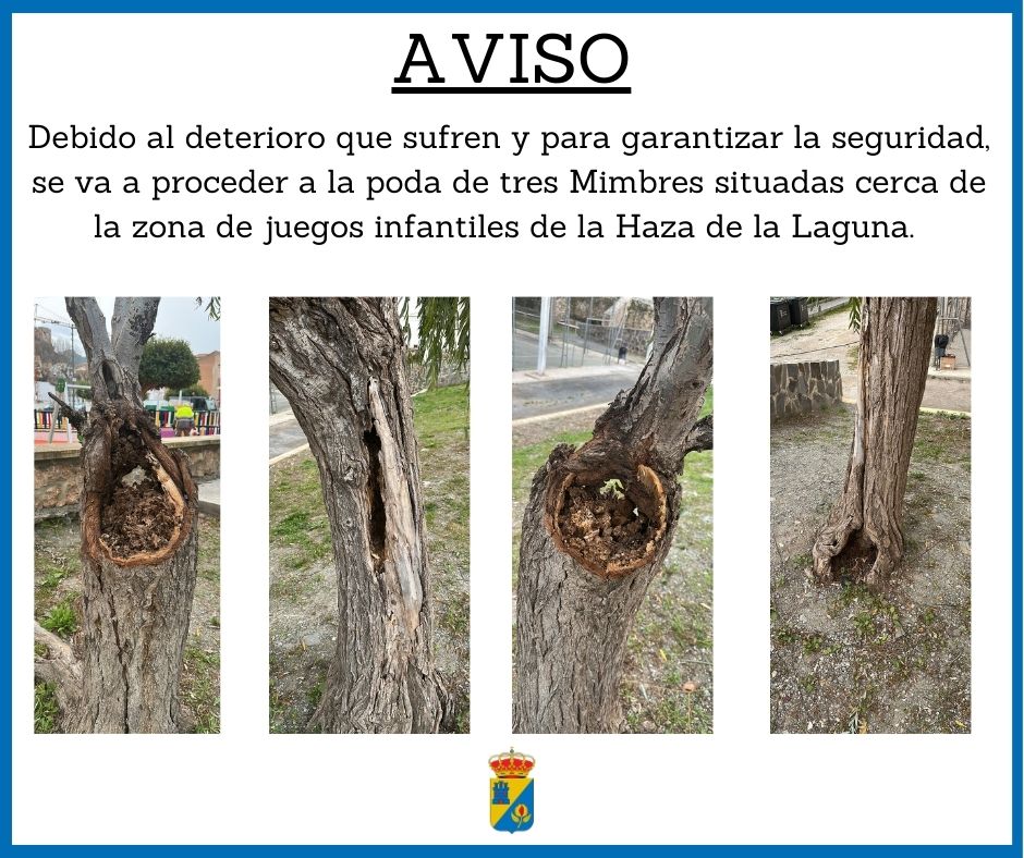 Copia de post de facebook aviso importante scrapbook marr%c3%b3n (46)