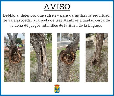 Copia de post de facebook aviso importante scrapbook marr%c3%b3n (46)