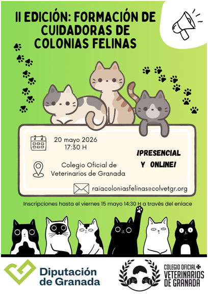 Ccff