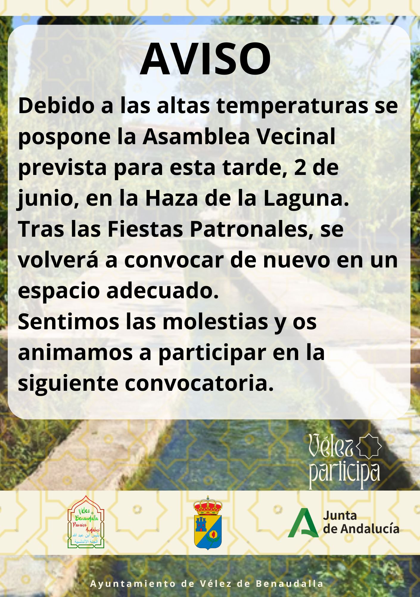 Contraportada definitiva